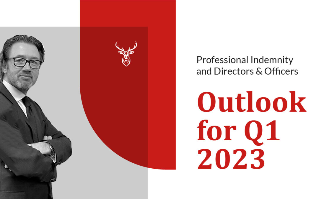 Professional Indemnity and Directors and Officers Outlook for Q1 2023